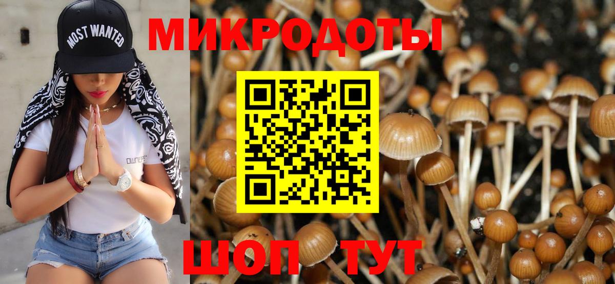 Псилоцибиновые грибы Cubensis  Вход с VPN  Вышний Волочёк 